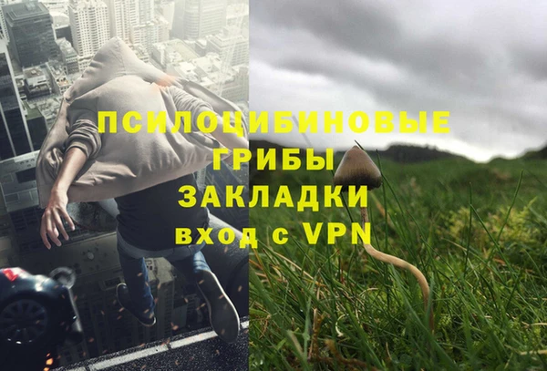 прущий лед Аркадак