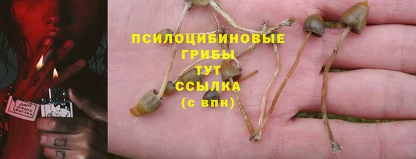 крисы Арсеньев