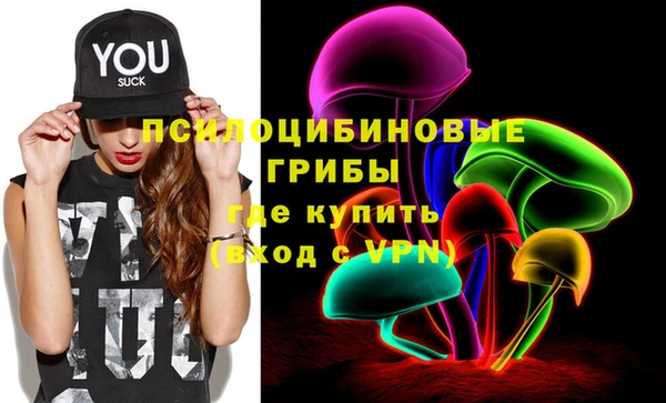 прущий лед Аркадак