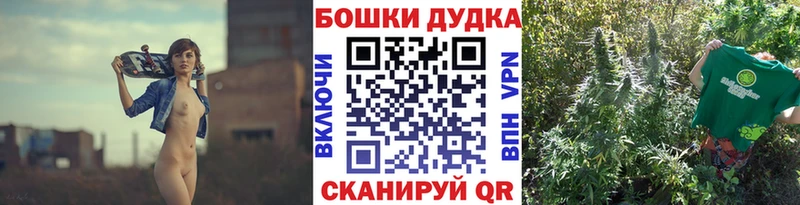 Конопля план  Бабаево 